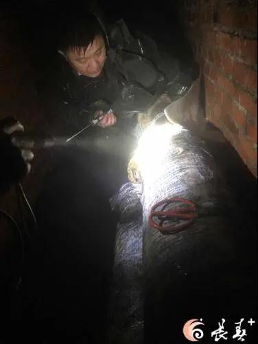 尊龙凯时人生就是搏(中国区)官方网站