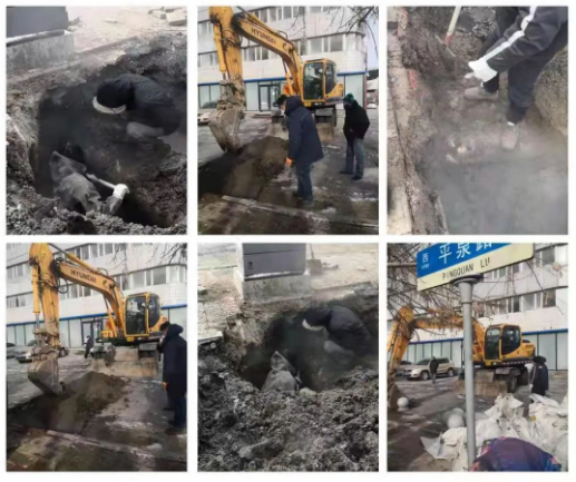 尊龙凯时人生就是搏(中国区)官方网站